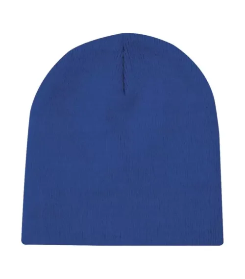 ATC™ EVERYDAY KNIT SKULL CAP. C105